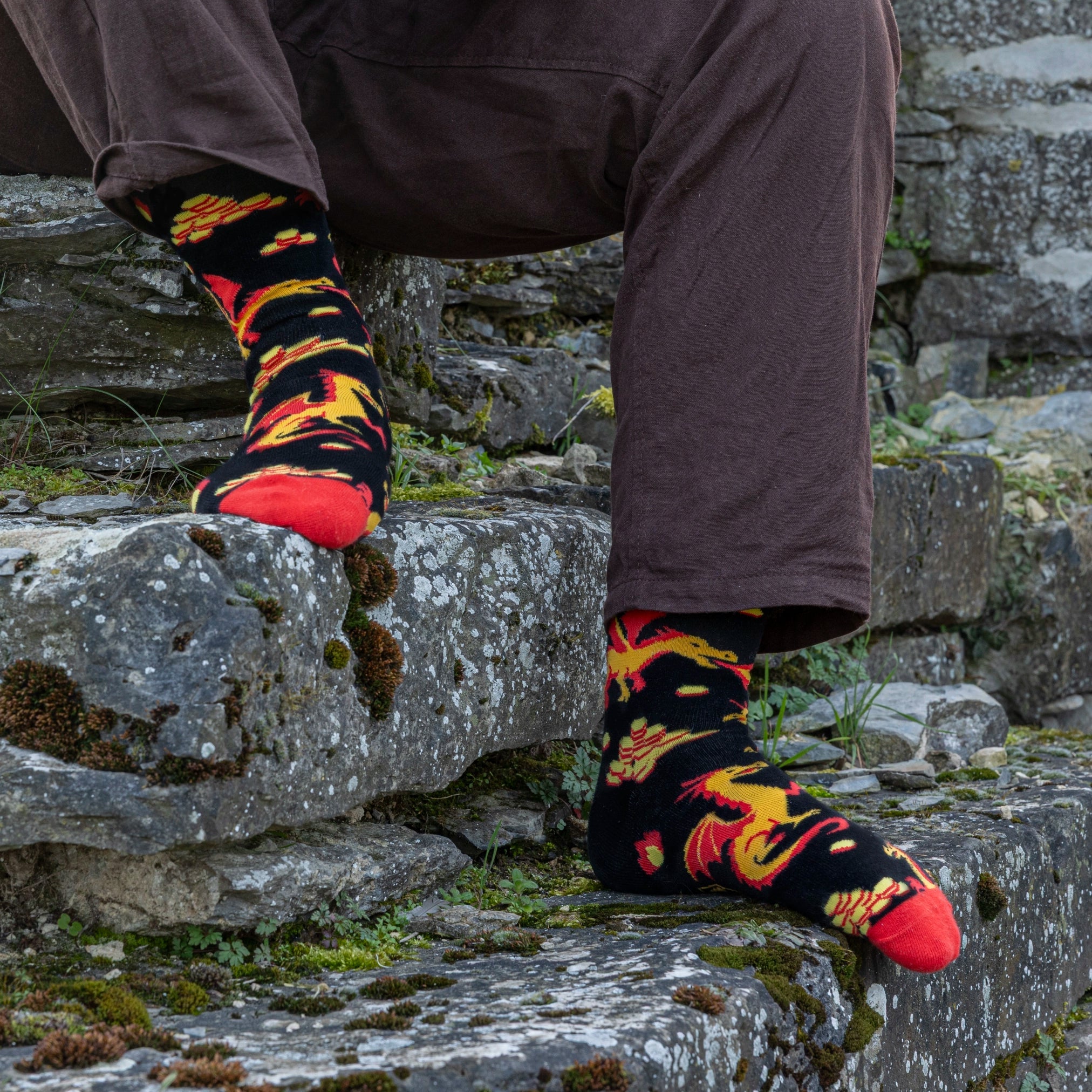 Greedy Dragon Socks - Socks - GlassStaff