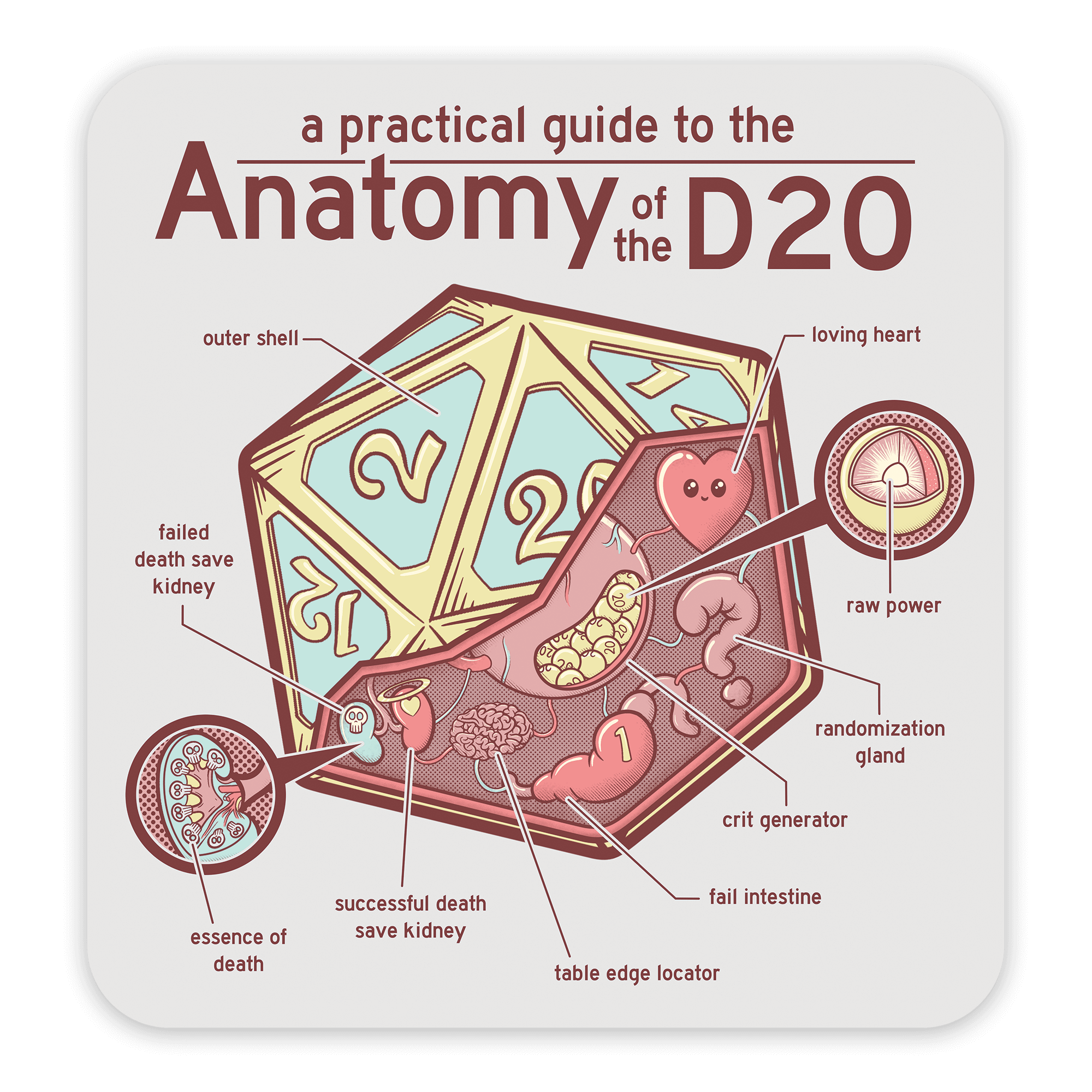 Anatomy of the D20 Sticker - D&D / TTRPG Sticker - Glassstaff