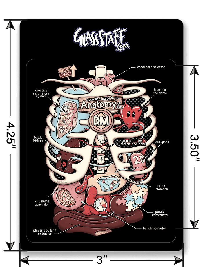 Anatomy DM Sticker D&D Vinyl, waterproof Sticker
